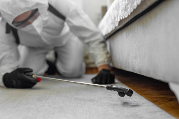 Professional Termite Control technician working in Rosharon, TX