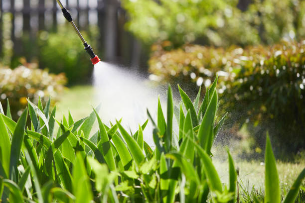 24/7 Emergency Termite Control experts in Rosharon, TX